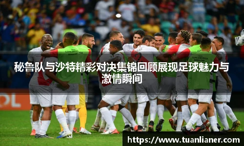 米兰·(milan)